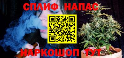 спиды Заводоуковск