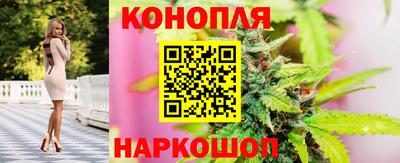 эйфоретик Жуковский