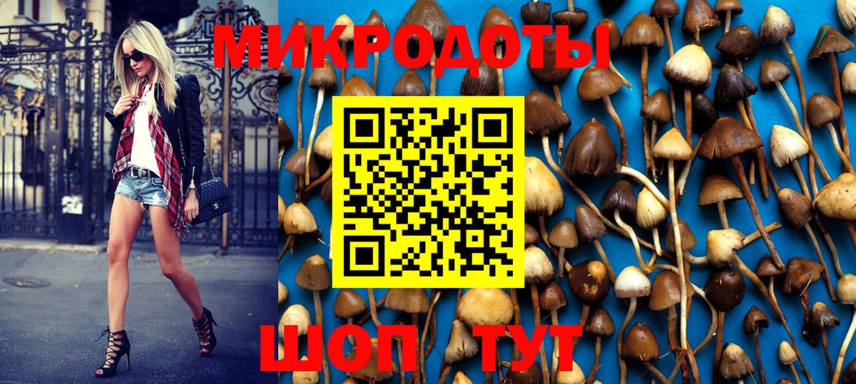 Лосино-Петровский  Псилоцибиновые грибы MAGIC MUSHROOMS  Вход с VPN 