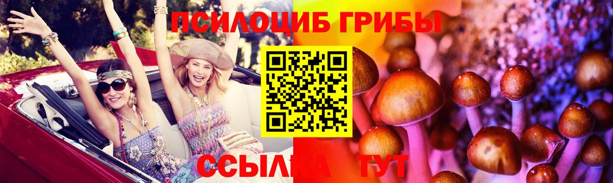 Псилоцибиновые грибы Psilocybine cubensis Лосино-Петровский